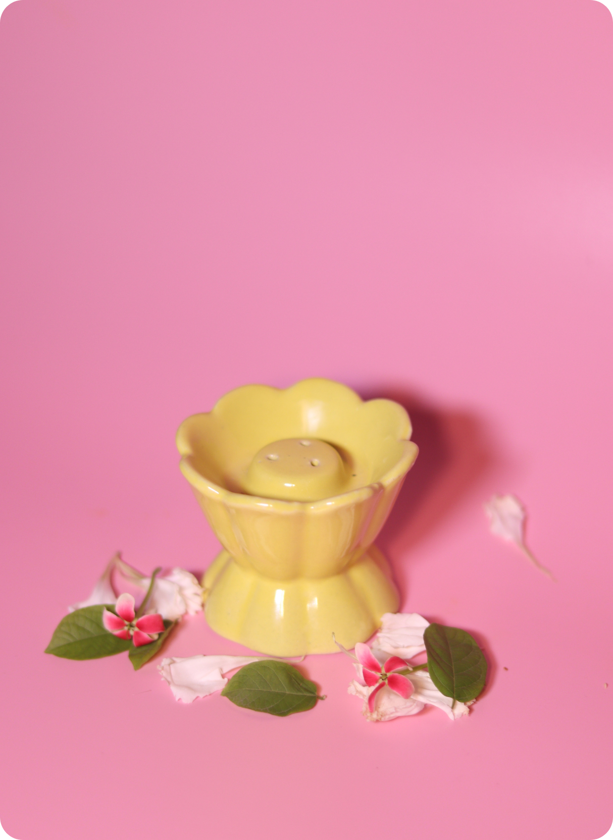 Mood Bloom Agarbatti Holder