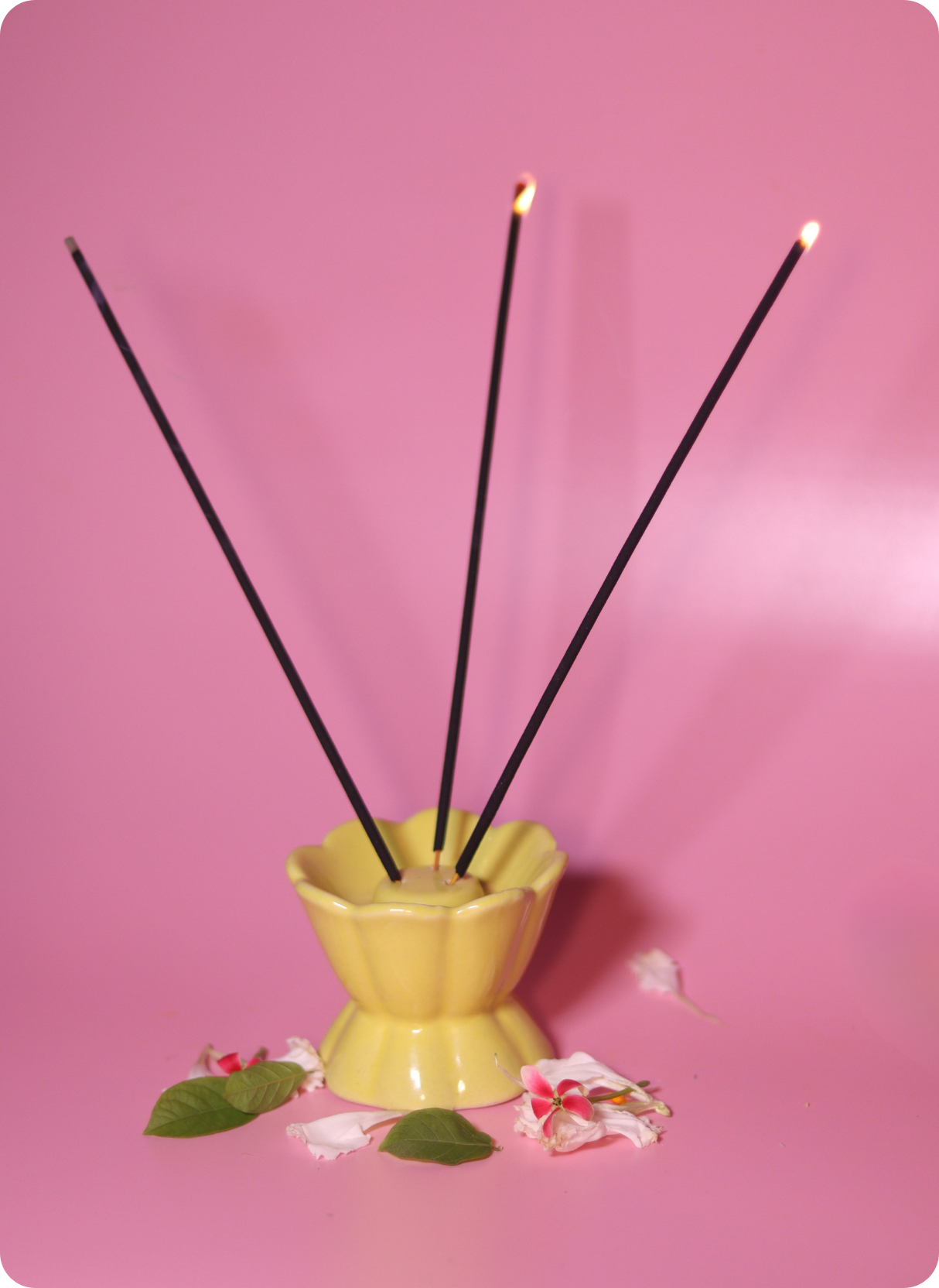 Incense & Fragrance Holders